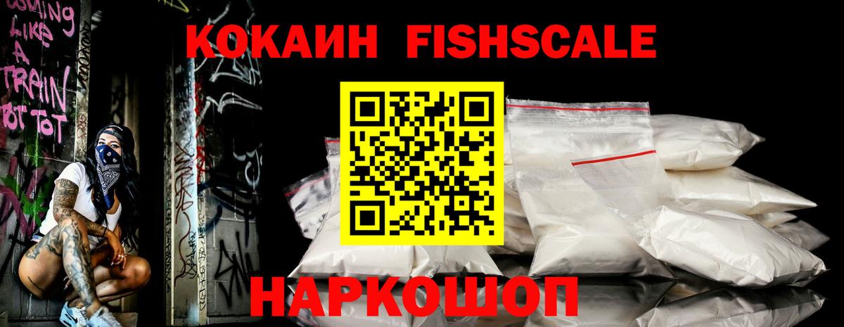 COCAIN FishScale Гусь-Хрустальный