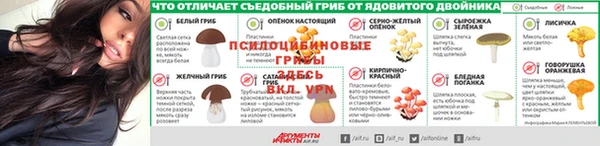 мдпв Горняк