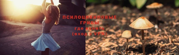 прущий лед Горно-Алтайск