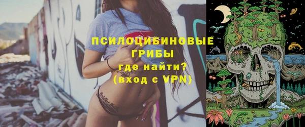гашик Горнозаводск