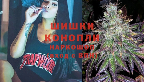 гашик Горнозаводск
