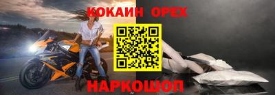 крисы Бийск