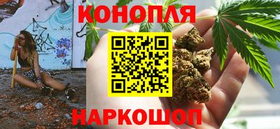 крисы Бийск