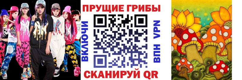 магазин продажи   Гусь-Хрустальный  Псилоцибиновые грибы ЛСД 