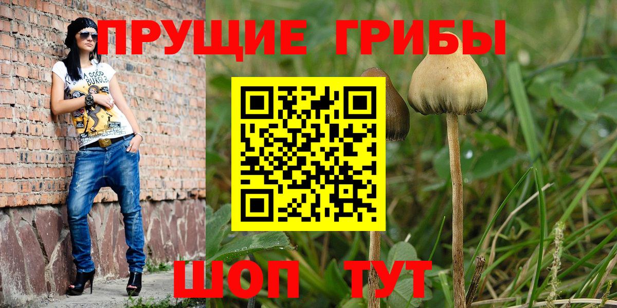 Галлюциногенные грибы мицелий  Вход с VPN  Галлюциногенные грибы MAGIC MUSHROOMS  Гусь-Хрустальный 
