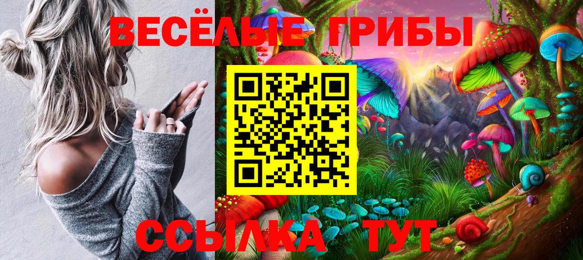 Галлюциногенные грибы MAGIC MUSHROOMS Гусь-Хрустальный